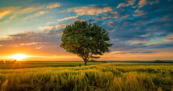 Como melhorar suas habilidades fotográficas